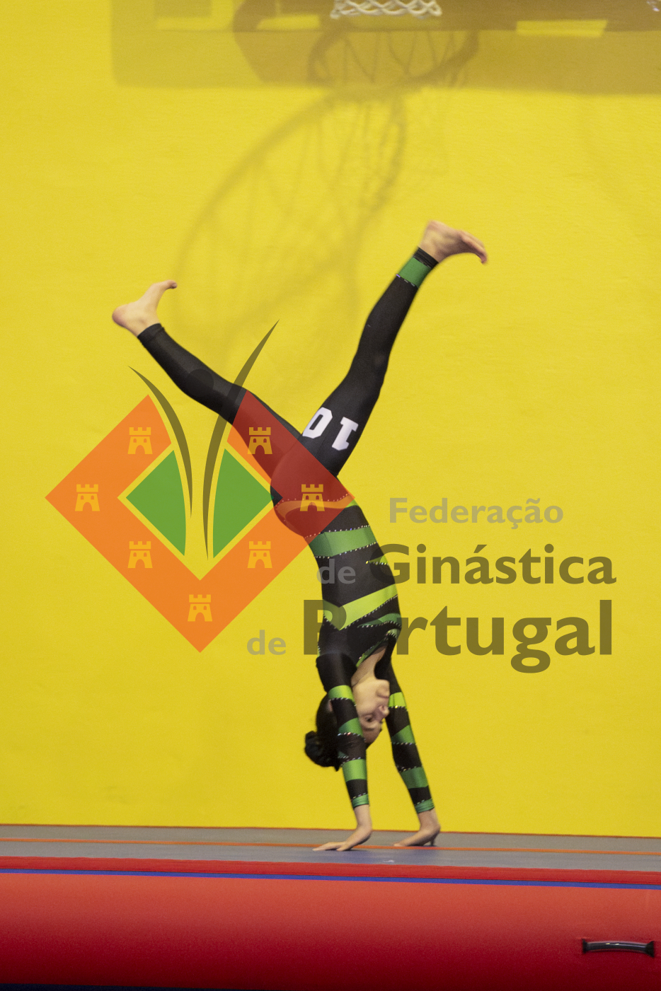 1471_Taça de Portugal TG